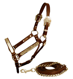 Personalized Fancy Show Leather Halter With Chain Lead