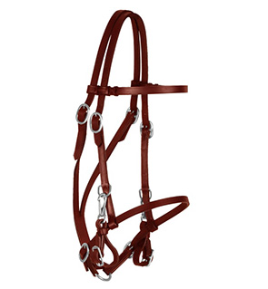 Leather Trail Horse Bridle Halter