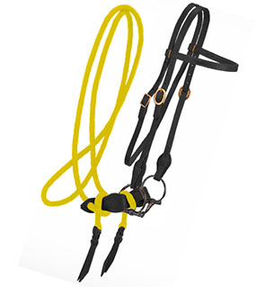 Leather Training Bridle With Reins