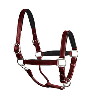 Comfortable Fancy Stitched Leather Halter