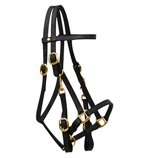 Leather Trail Bridle Horse Halter