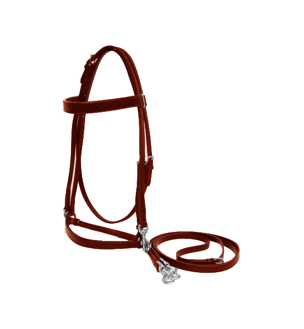 Leather Halter Training Bridle
