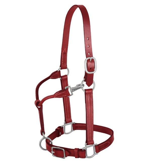 Comfortable Fancy Leather Halter