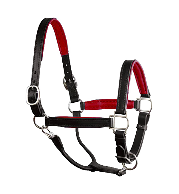Soft Padded Leather Horse Halter