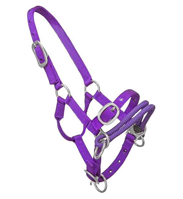 Training Horse Halter