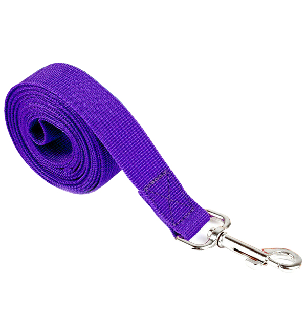 Best Long Training Leash For dogs