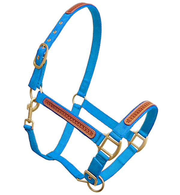 thumbnail image 2 of Weaver Leather Llama Livestock Halter - Blue Small Nylon Halter For Young Llamas 2 of 11