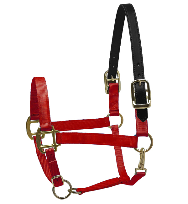 Nylon Halter with Black Leather Crown