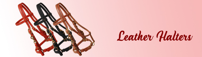 Customize Your Leather Halter